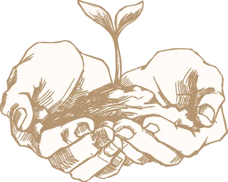 Hands supporting a young plant representing growth and healing