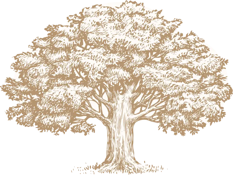 tree large full